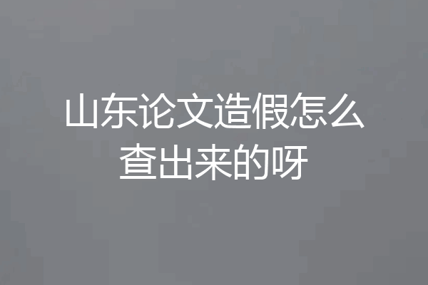 山东论文造假怎么查出来的呀