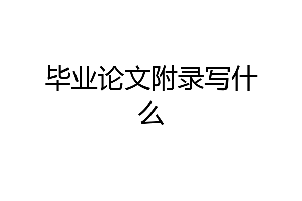 毕业论文附录写什么