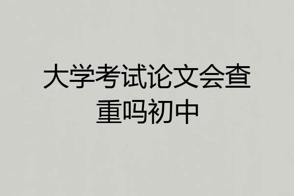 大学考试论文会查重吗初中