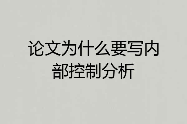 论文为什么要写内部控制分析