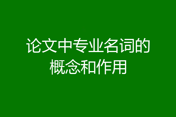 论文中专业名词的概念和作用