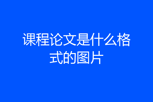 课程论文是什么格式的图片