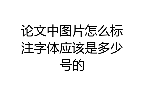 论文中图片怎么标注字体应该是多少号的