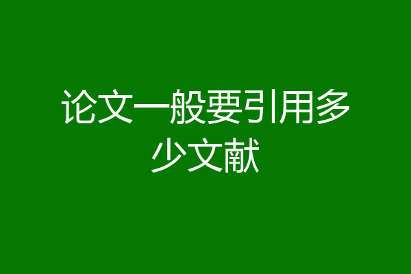论文一般要引用多少文献