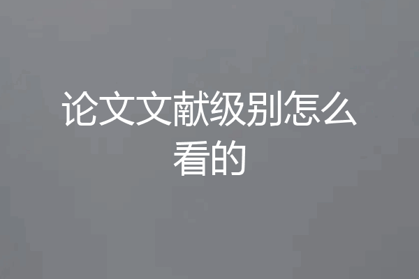论文文献级别怎么看的
