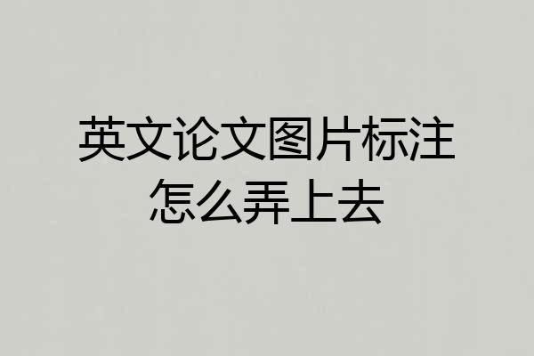 英文论文图片标注怎么弄上去