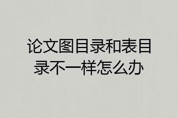 论文图目录和表目录不一样怎么办