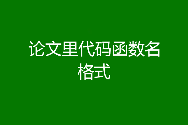 论文里代码函数名格式