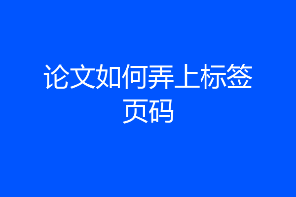 论文如何弄上标签页码