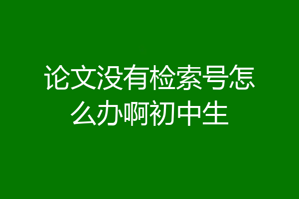 论文没有检索号怎么办啊初中生