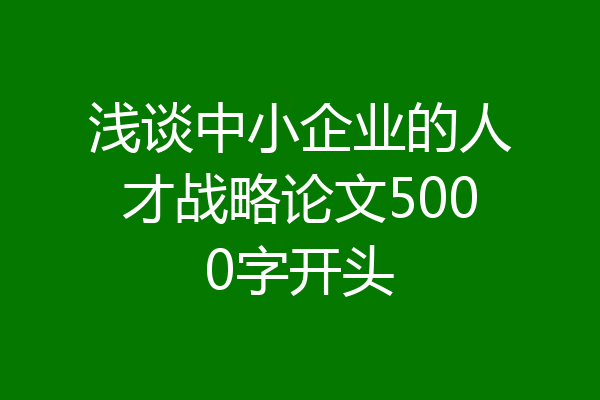 浅谈中小企业的人才战略论文5000字开头
