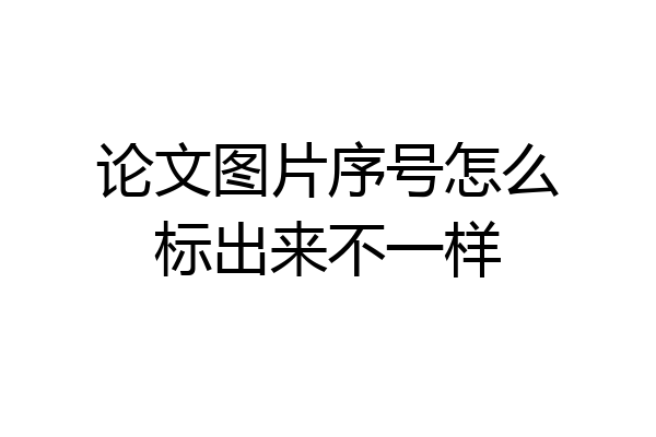 论文图片序号怎么标出来不一样