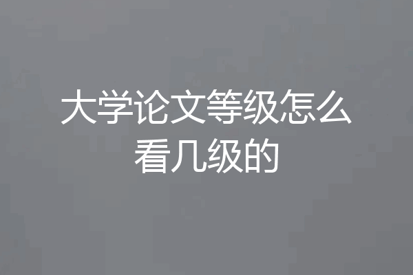 大学论文等级怎么看几级的