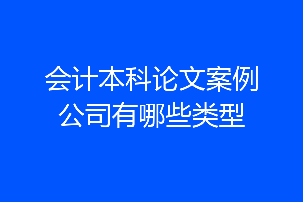 会计本科论文案例公司有哪些类型