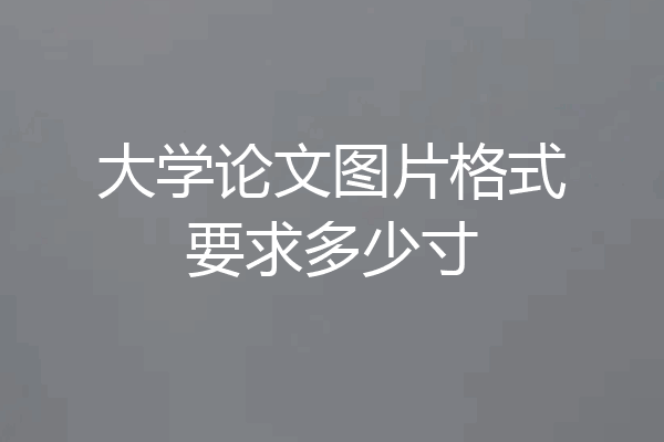 大学论文图片格式要求多少寸