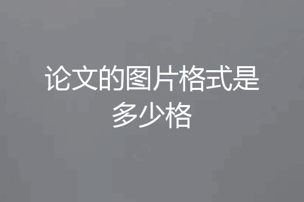 论文的图片格式是多少格
