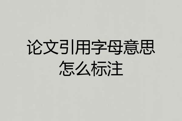 论文引用字母意思怎么标注