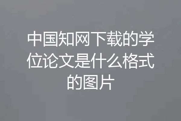 中国知网下载的学位论文是什么格式的图片