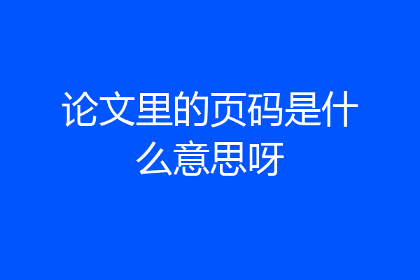论文里的页码是什么意思呀