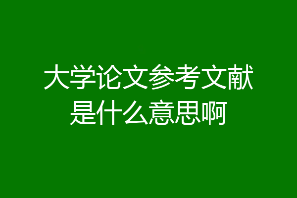大学论文参考文献是什么意思啊