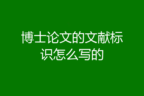 博士论文的文献标识怎么写的