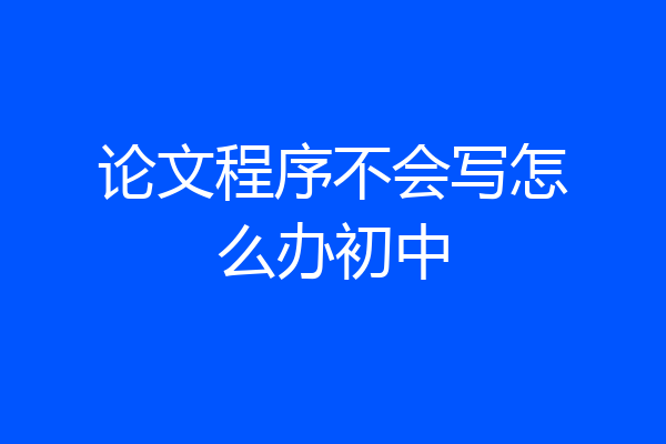 论文程序不会写怎么办初中