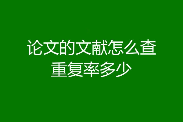 论文的文献怎么查重复率多少