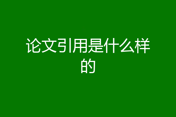 论文引用是什么样的