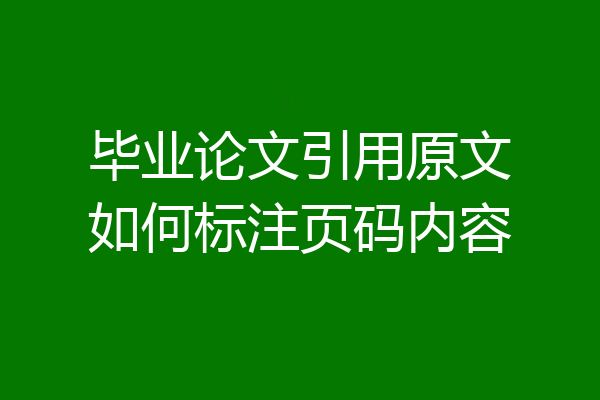 毕业论文引用原文如何标注页码内容