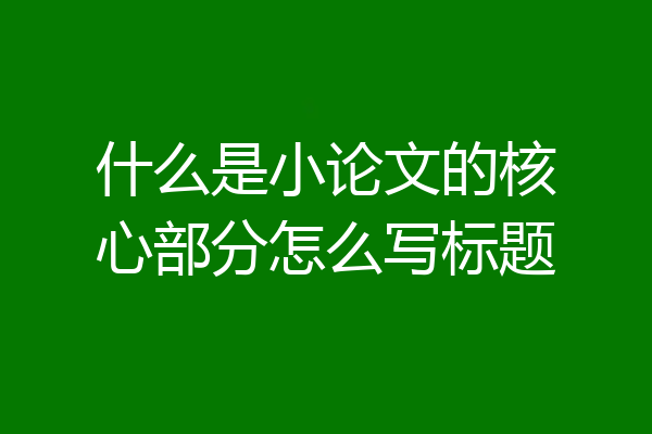 什么是小论文的核心部分怎么写标题