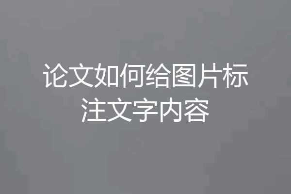 论文如何给图片标注文字内容