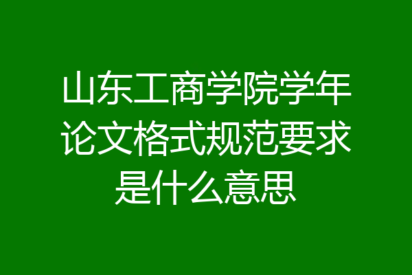 山东工商学院学年论文格式规范要求是什么意思