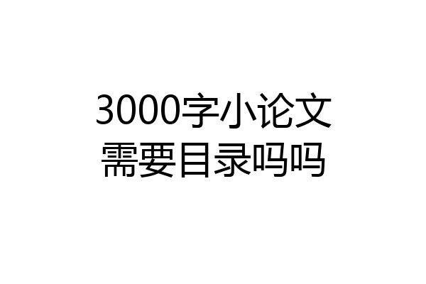 3000字小论文需要目录吗吗