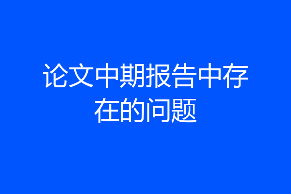 论文中期报告中存在的问题