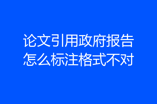 论文引用政府报告怎么标注格式不对