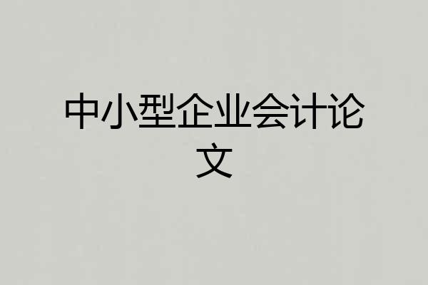 中小型企业会计论文