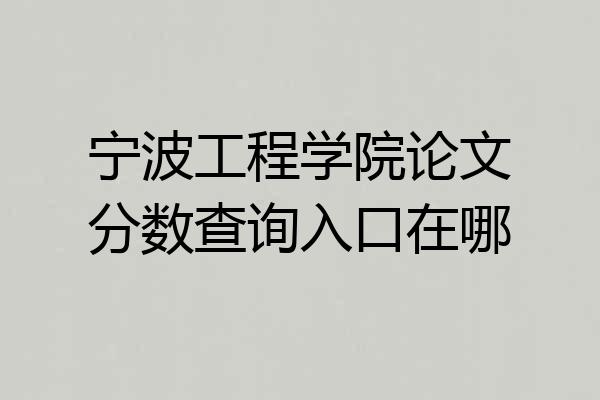 宁波工程学院论文分数查询入口在哪