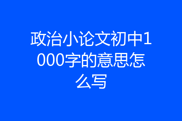 政治小论文初中1000字的意思怎么写