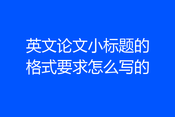 英文论文小标题的格式要求怎么写的
