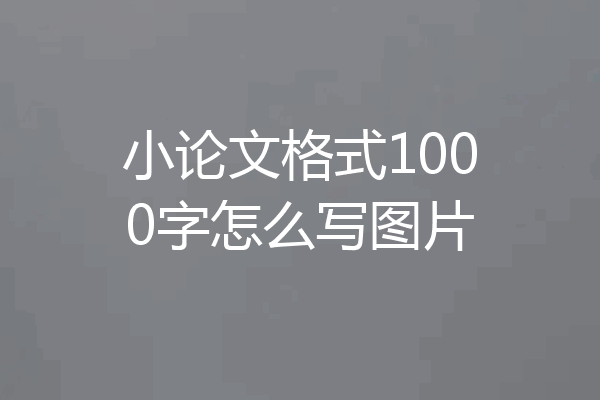 小论文格式1000字怎么写图片