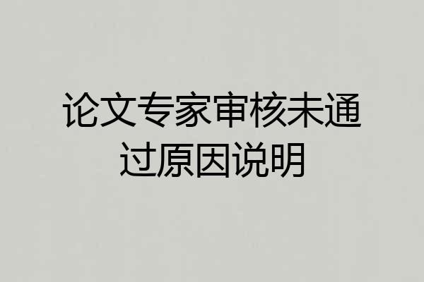 论文专家审核未通过原因说明