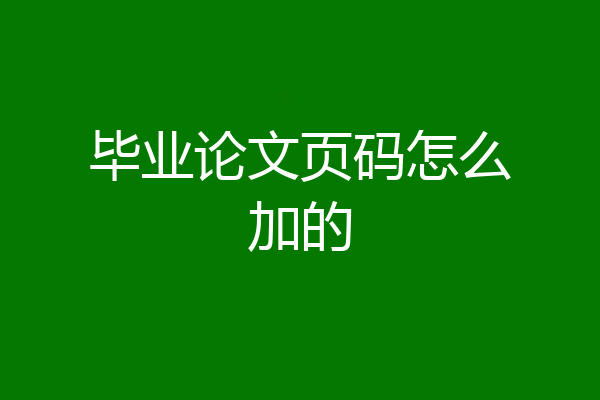 毕业论文页码怎么加的