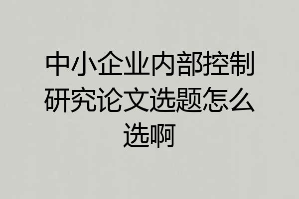 中小企业内部控制研究论文选题怎么选啊