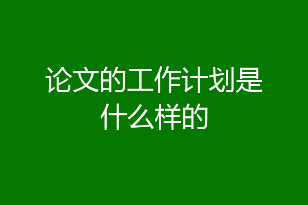 论文的工作计划是什么样的