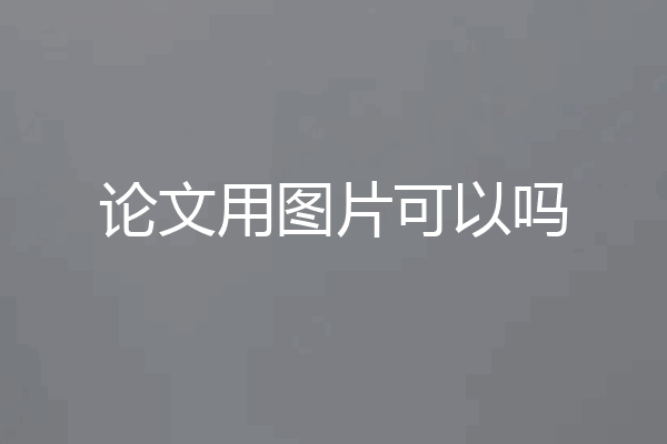 论文用图片可以吗