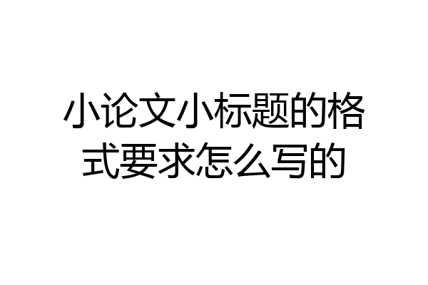小论文小标题的格式要求怎么写的