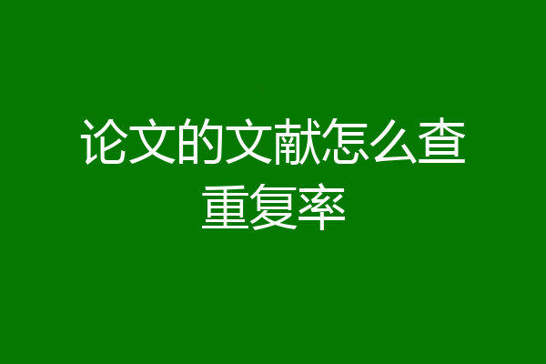 论文的文献怎么查重复率