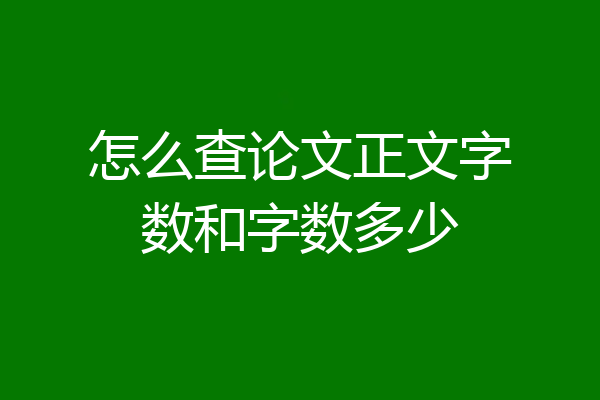 怎么查论文正文字数和字数多少