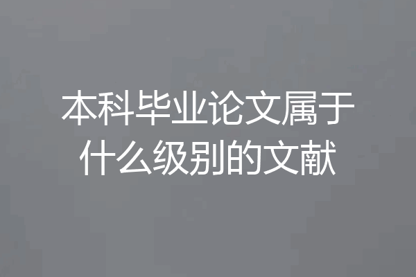 本科毕业论文属于什么级别的文献