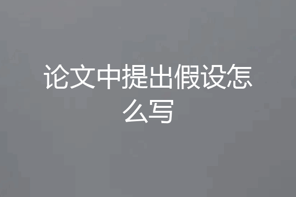 论文中提出假设怎么写